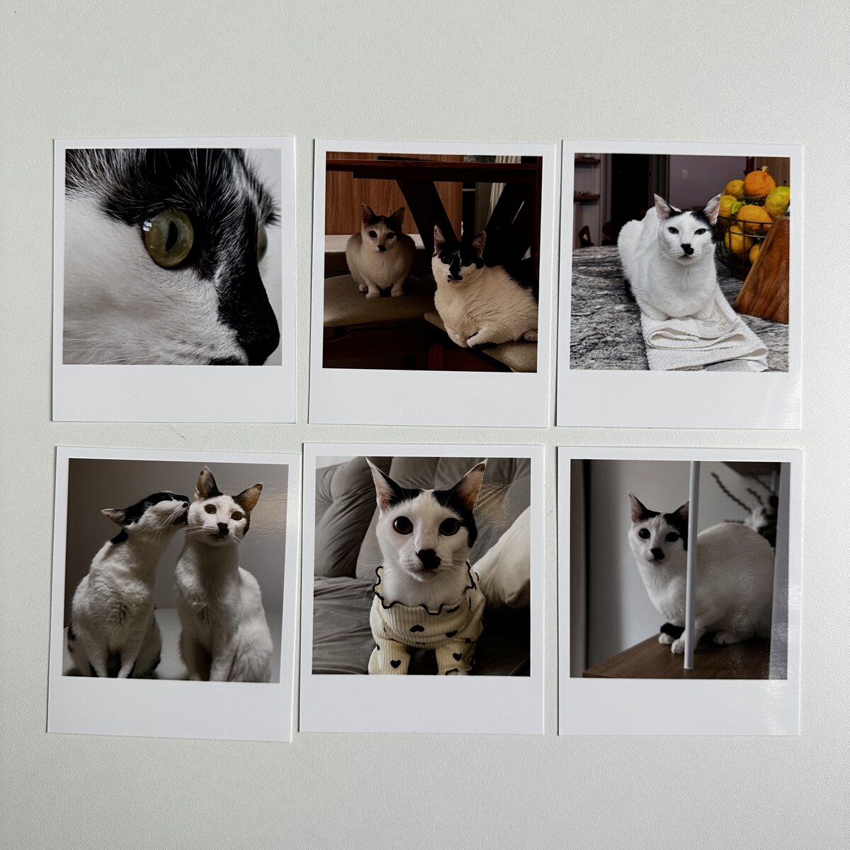 Polaroids com ímã na geladeira